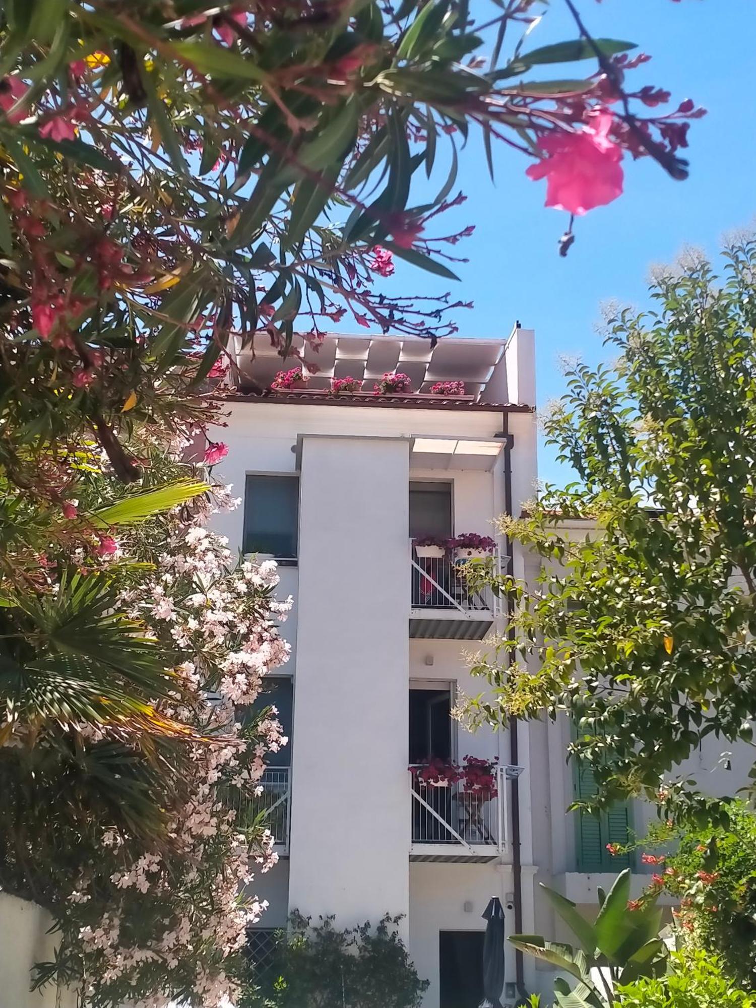 B&B Previsto Sole 西维尔诺瓦·马尔凯 外观 照片